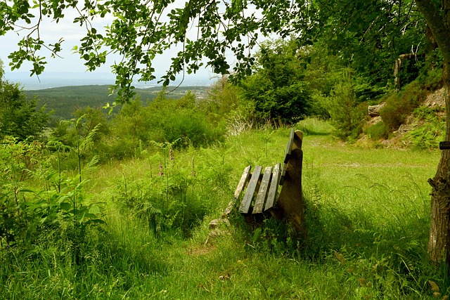 他们利用传 他们利用传