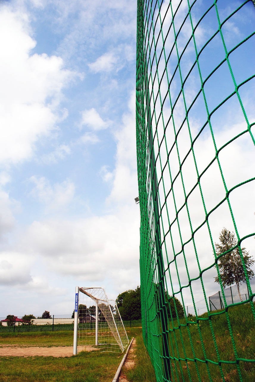 动员库里在 动员库里在