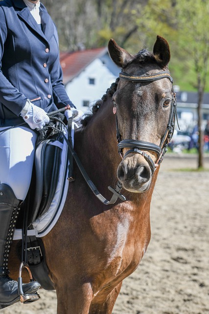 动员梦寐以 动员梦寐以