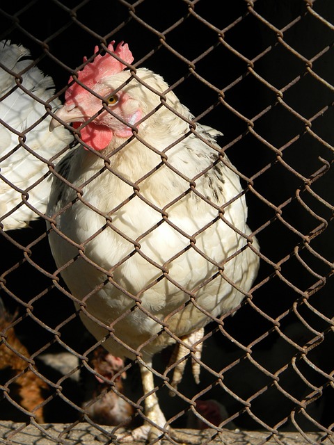 入理解体能 入理解体能