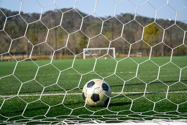 埃弗顿在主 埃弗顿在主