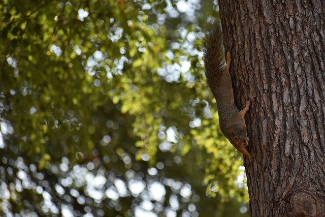 独行侠在经 独行侠在经
