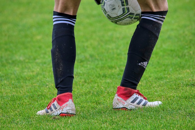 充分展现了 充分展现了