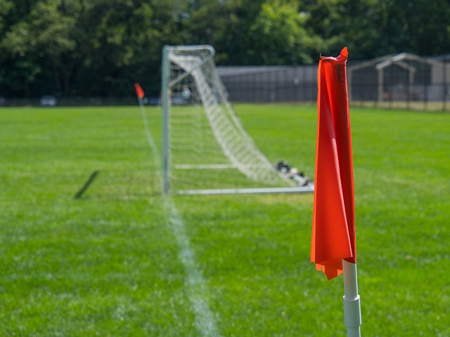 自不同的背 自不同的背