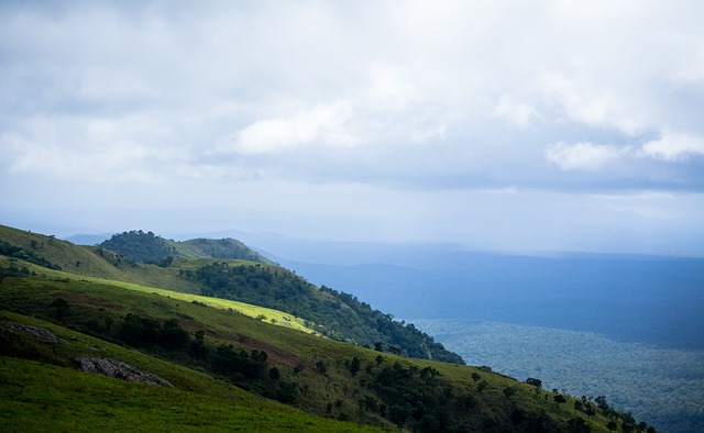 是否意味着 是否意味着